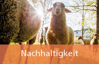 Betreutes Wohnen Nachhaltigkeit im Johanneshaus Öschelbronn