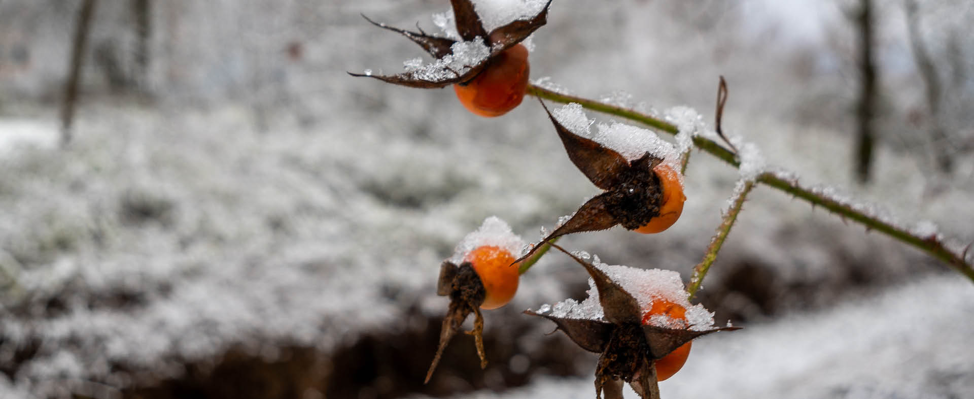 Winterzeit im Johanneshaus